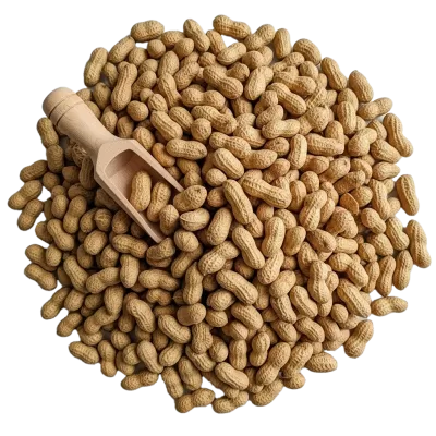 Imagen PNG para descargar